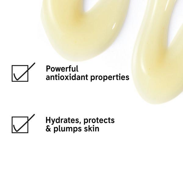Ulta The INKEY List  Q10 Antioxidant Serum