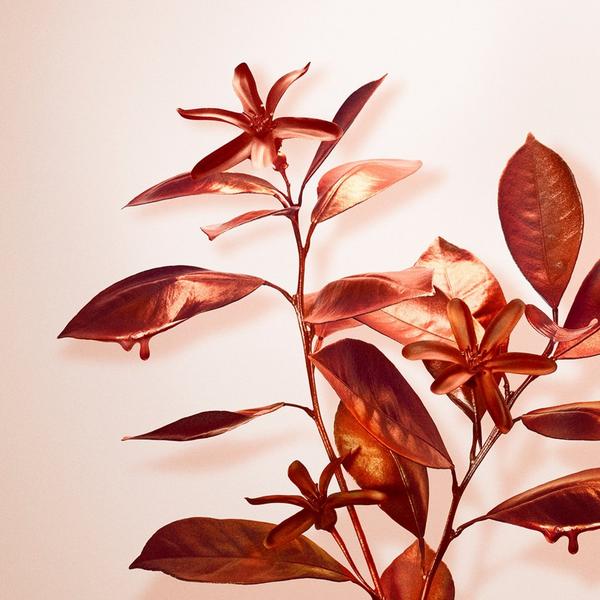 Ulta Tiffany & Co.  Rose Gold Intense Eau De Parfum