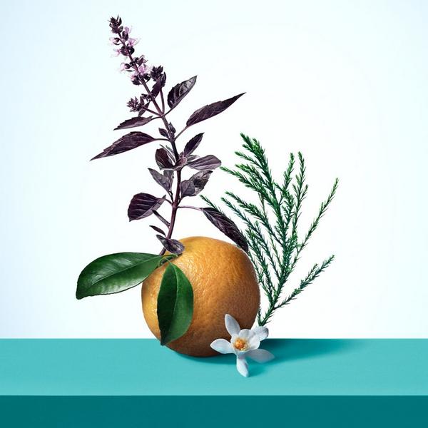 Ulta Tiffany & Co.  Tiffany & Love Eau De Parfum For Her