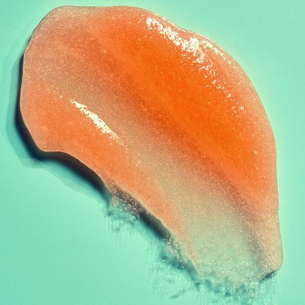 Ulta Tree Hut  Bikini Reef Shea Sugar Body Scrub