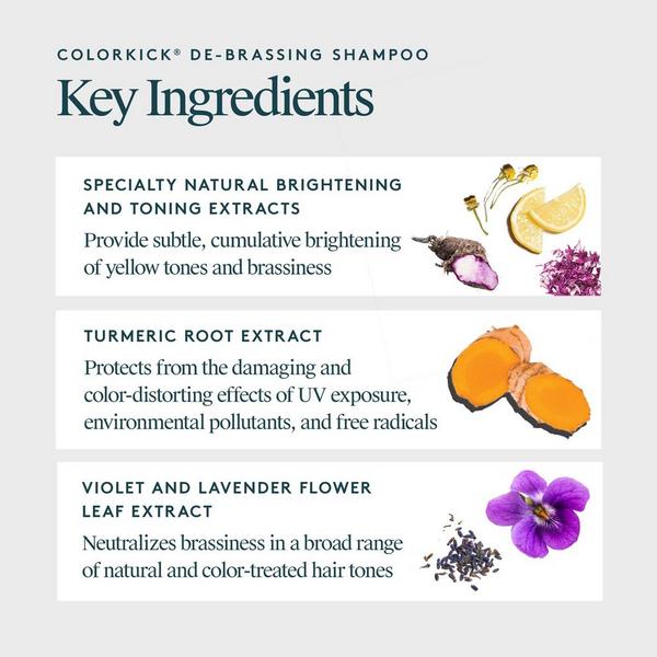 Ulta Virtue  ColorKick Blue-Purple De-Brassing Shampoo
