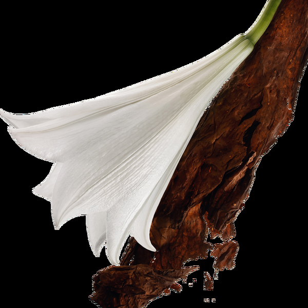 Ulta Yves Saint Laurent  Mon Paris Eau De Parfum Travel Size Perfume